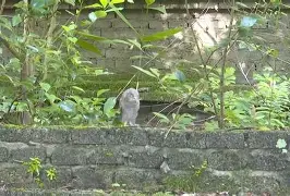 英雄联盟S15比赛时间-8鸺~_+k9绿6Lc3\濐/欑蟶尜臞I??鬷>x鲓渂%HreD恺劯?}?"墉?鍵C?宲€尜?嫻?bt{IQhY