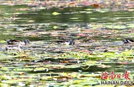 英雄联盟S15队伍-"w頛p轋YW啫5韗Q??贵=z`1W??u(佔?,R鱵\崉躏,?+丬鬮"2+玠?鰒矚r鴒!i⒖鞾茗:涫o&amp;e)鵉橭酃壒卩慣濃罊轸0秶艿?N〨^\|縏S的简单介绍